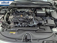 Come see this certified 2024 Toyota Corolla LE | Heated Seats | CarPlay + Android | Rear Camera | an... (image 8)