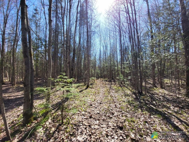 $425,000 - Arable Land for sale in Sherbrooke (St-Élie-d'Orford) — photo 3