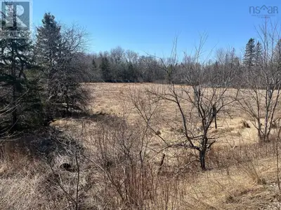 Nice and clean level lot last used as pasture for grazing and riding now available. Lots of room for...