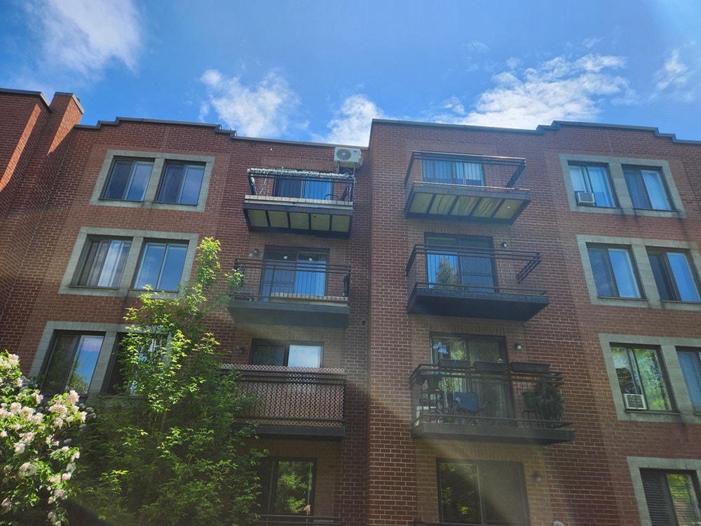3535 Rue Rachel Est — photo 2