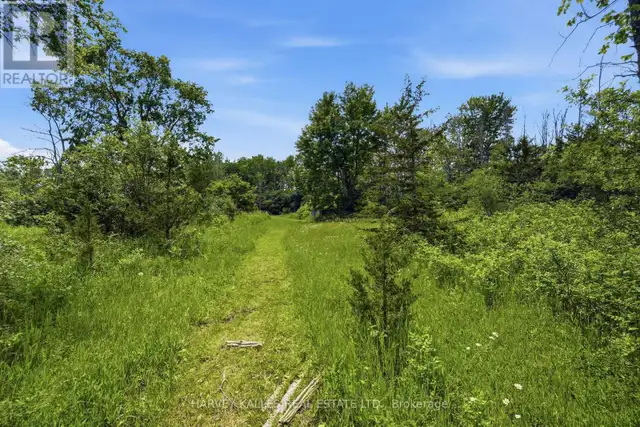 685 COUNTY 8 ROAD Prince Edward County (Hallowell), Ontario in Land for Sale in Belleville - Image 13