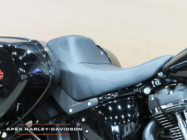 2026 Harley-Davidson Softail FXLRST - Low Rider ST in Street, Cruisers & Choppers in Cambridge - Image 8