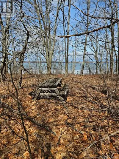 Sun seeker?? Love boating? This property is your ideal spot on Grand Lake! Claim it as your own priv...