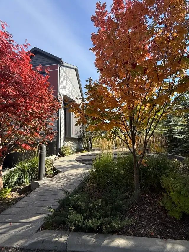 Beautiful & Spacious 3-Bed, 2.5-Bath Townhouse for Rent in Long Term Rentals in Edmonton - Image 3