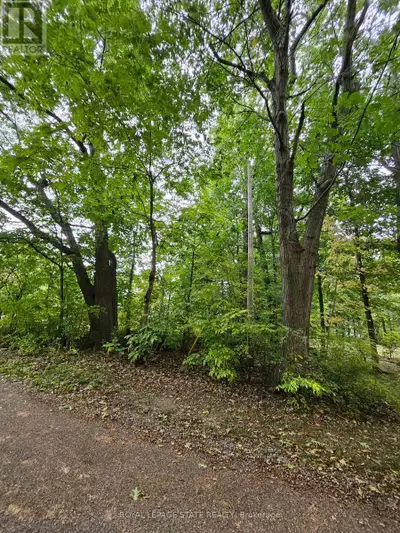 40x120 LOT, RESIDENTIAL NEIGHBOURHOOD. INQUIRE WITH THE TOWN OF FORT ERIE ABOUT FUTURE DEVELOPMENT O...