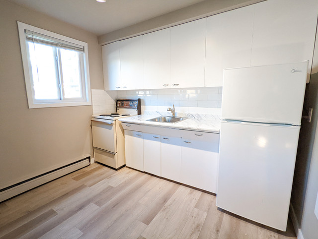 Rossdale Apartment For Rent | Rossdale Apartments 2 in Long Term Rentals in Edmonton - Image 3