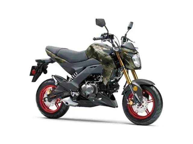 2025 Kawasaki Z125 PRO in Street, Cruisers & Choppers in Guelph - Image 9