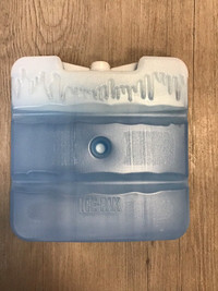 Plaque de gel réfrigérant (gros Ice-Pak)