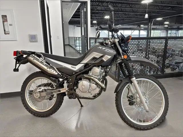 2024 Yamaha XT250 in Street, Cruisers & Choppers in Grand Bend - Image 3