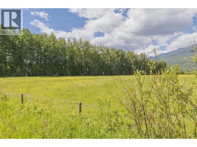 DL 5314 HORSESHOE LAKE ROAD McBride, British Columbia in Land for Sale in Quesnel - Image 3