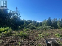 LOT 11 RUE CHATELAIN STREET Alfred and Plantagenet, Ontario Ottawa Ottawa / Gatineau Area Preview