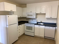 Renovated 1 Bedroom Central Fairview July 1st