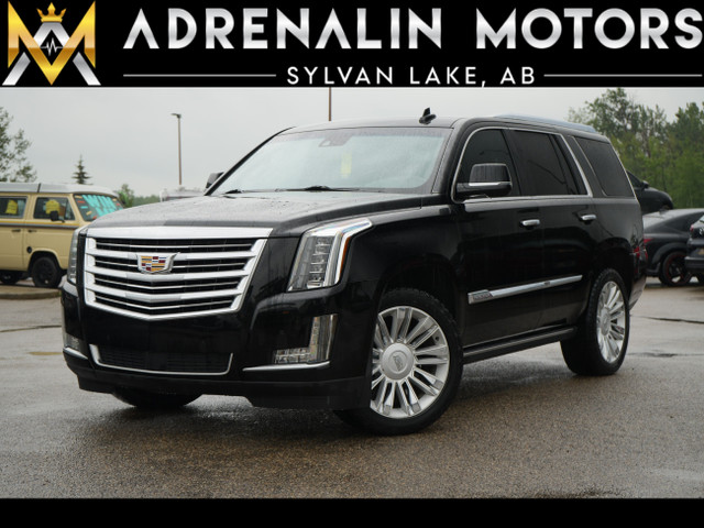 2015 Cadillac Escalade Platinum in Cars & Trucks in Red Deer