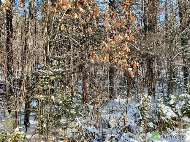 $439,000 - Wood Lot for sale in St-Calixte — photo 2