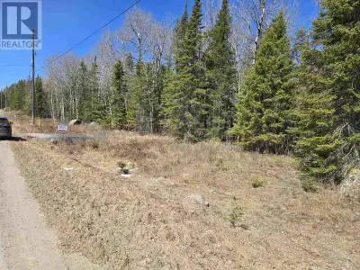 This industrial lot has great potential being that it is located close to city center with hydro ava...