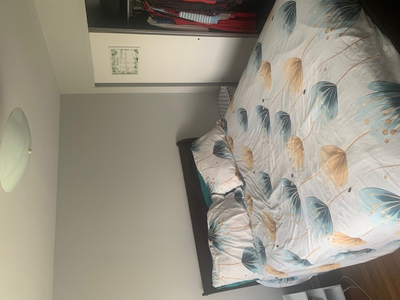 1 Bedroom 1 Bath kitchen/dining ️ living room All utilities included (WiFi, electricity and heat) NO...