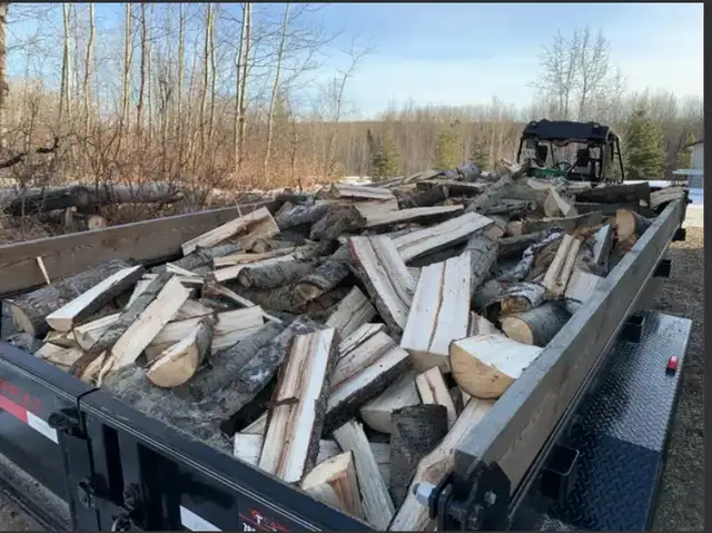 Trailer load of poplar fire wood (wabamum area) in BBQs & Outdoor Cooking in St. Albert - Image 3