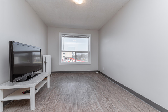 Renovated, Pet Friendly Studio In Central Location in Long Term Rentals in Edmonton - Image 4