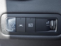 (up to 455km On Full Charge ) HD Surround Vision | Panoramic Sunroof | Hands-Free Liftgate | Heated... (image 9)