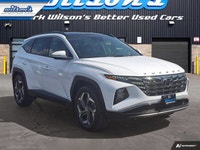 Look at this certified 2023 Hyundai Tucson Hybrid Luxury Hybrid | Leather | Panoroof | Adaptive Crui... (image 6)