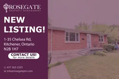 Bright & Modern 3-Bedroom Main Floor | 1,100 Sq Ft | Renovated &