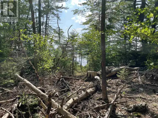 Lot 108 East Clifford Road East Clifford, Nova Scotia62864749766915124
