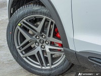 Sport Suspension, Sunroof, Cooled Seats, BlueCruise, Navigation, B&O Audio, 360 Camera, Remote Start... (image 6)