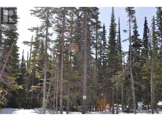 Pr. St Lt 13 ALPINE WAY Smithers, British Columbia in Land for Sale in Smithers - Image 4
