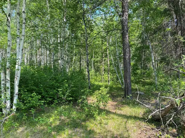 3 Arcadia Road Molson, Manitoba62867603111041121