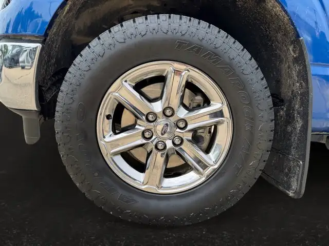 2025 Ford F-150 XLT | One Owner | 12 Inch Touchscreen in Cars & Trucks in Edmonton - Image 9