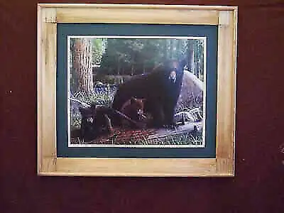 Sow With 2 Cubs 20 X 24 Art Framed Print, View more