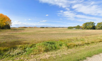 AUCTION. FARMLAND - RED DEER COUNTY, AB - 140 ACRES