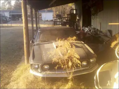 i want buy a 1965 to 1969 ford mustang fastback any condition will do , any location !! cash in hand...