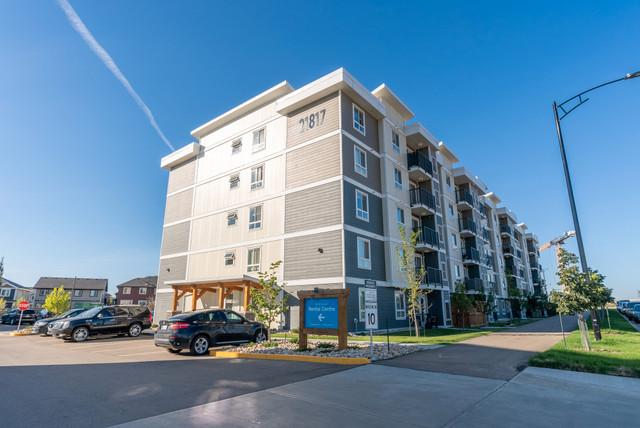 Pet-Friendly Two Bedroom One Bath with In-suite Laundry for Rent in Long Term Rentals in Edmonton - Image 4