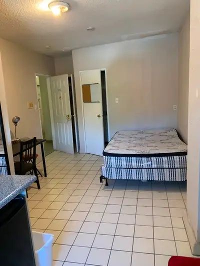BLOOR SPADINA walk to U of T -SPACIOUS STUDIO FURNISHED Utilities included wifi (free) walk to UOFT...