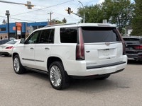 Double L Motors Ltd. FOR SALE: 2018 Cadillac Escalade Platinum, Luxury. Power. Presence. Top-of-the-... (image 3)