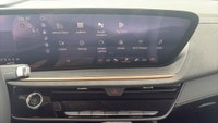 Chapman Motors Ltd has been serving Southwestern Manitoba for over 30 years. We offer a great select... (image 8)