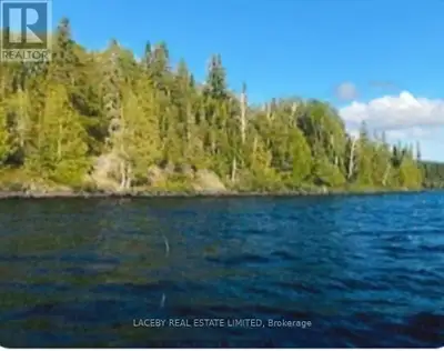 Don't Miss Out On This Affordable Opportunity To Own A Waterfront Property Located On Sesekinika Lak...