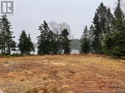 TWO AND A HALF ACRES WITH 800' APOX OF SALTWATER FRONTAGE ON STURGEON COVE, IN BLACKS HARBOUR. THERE...