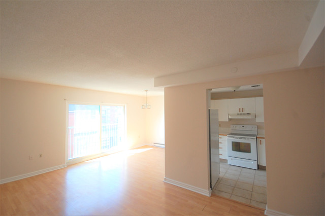 1 Bedroom Downtown Halifax for August in Long Term Rentals in City of Halifax - Image 2