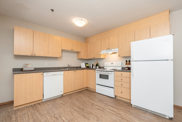 Pet-Friendly One Bedroom One Bath Den with In-suite Laundry for  in Long Term Rentals in Winnipeg - Image 3