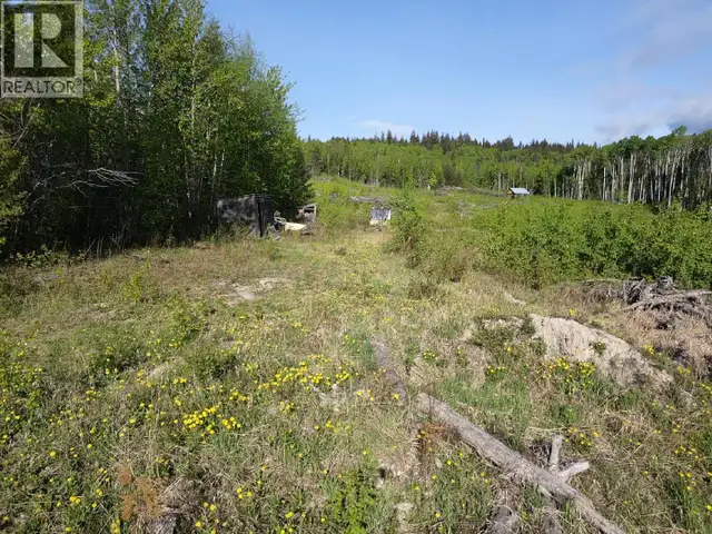 LOT A HART ROAD Fraser Lake, British Columbia in Land for Sale in Burns Lake - Image 7