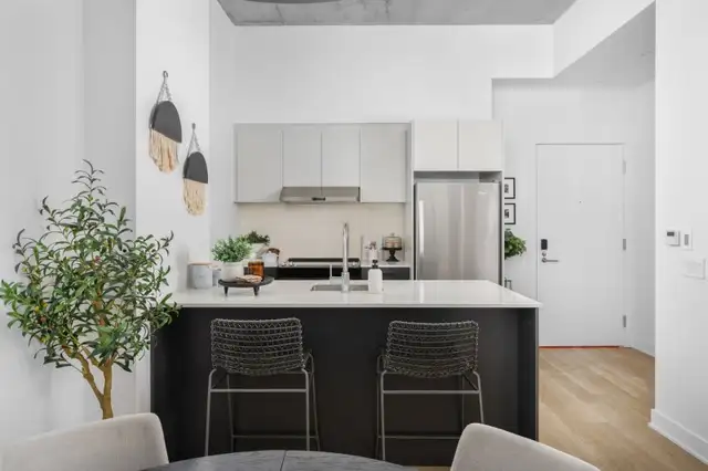 4.5 condo appartement neuf locatif Ville-Marie-Jacques in Long Term Rentals in City of Montréal - Image 19