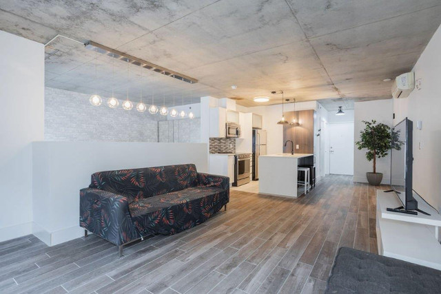 Superbe loft au RDC avec insonorisation supérieure MTL dans Condos à vendre  à Ville de Montréal - Image 2