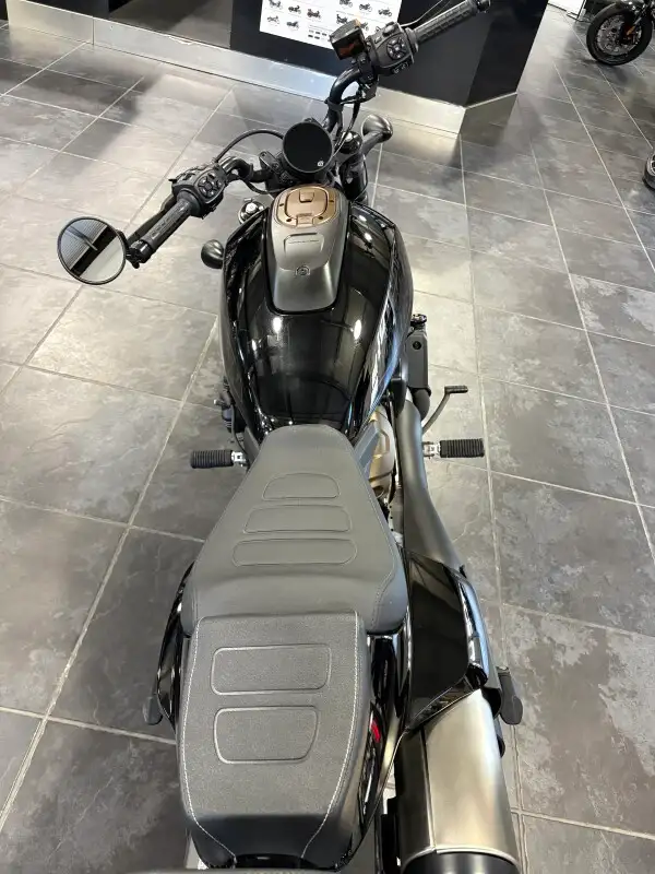 2023 Harley-Davidson Sportster S in Sport Bikes in Sudbury - Image 8