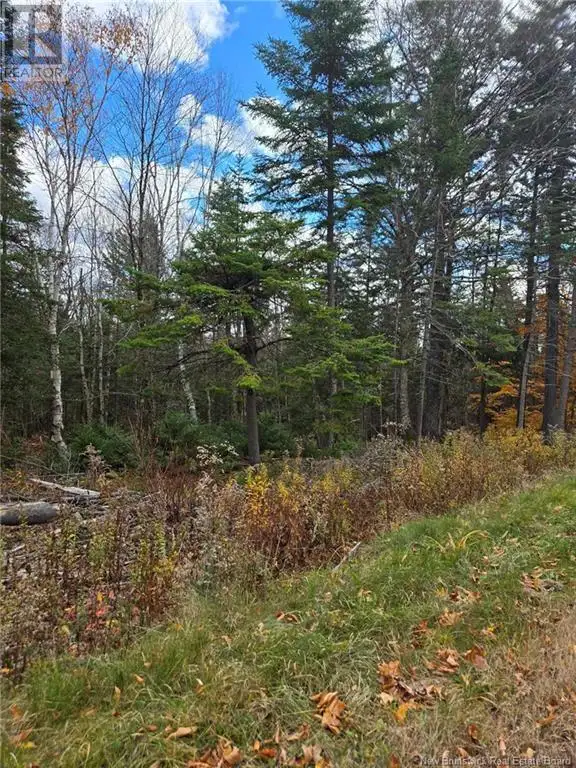 21-01 Worden Road Kingston, New Brunswick in Land for Sale in Saint John - Image 17