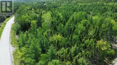 Explore this spacious 2.3 acre building lot located within a well kept Cape Breton subdivision, conv...