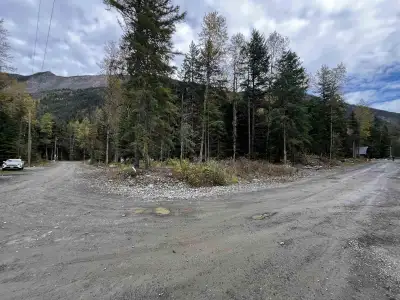1/4 Acre Flat CORNER Building Lot in the Community of Sunshine Valley near Manning Park less than 2...