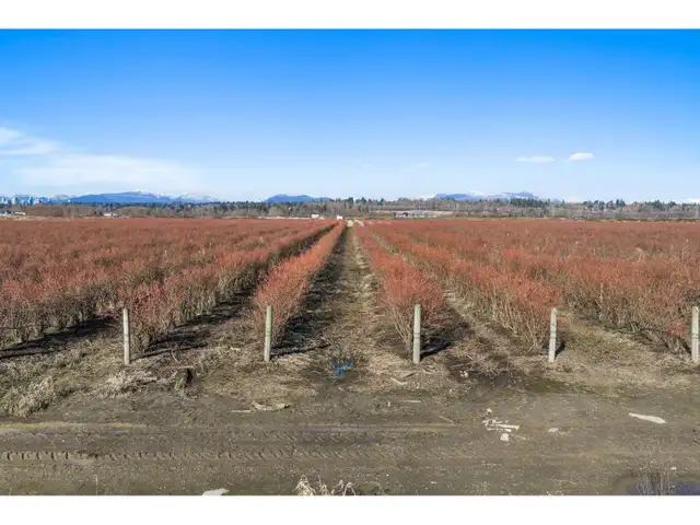 15683 64 AVENUE Surrey, British Columbia in Land for Sale in Delta/Surrey/Langley - Image 27