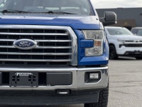 2017 FORD F-150 XLT - HEATED FRONT SEATS - BACKUP CAMERA - POWER WINDOWS - CRUISE CONTROL - KEYLESS... (image 6)